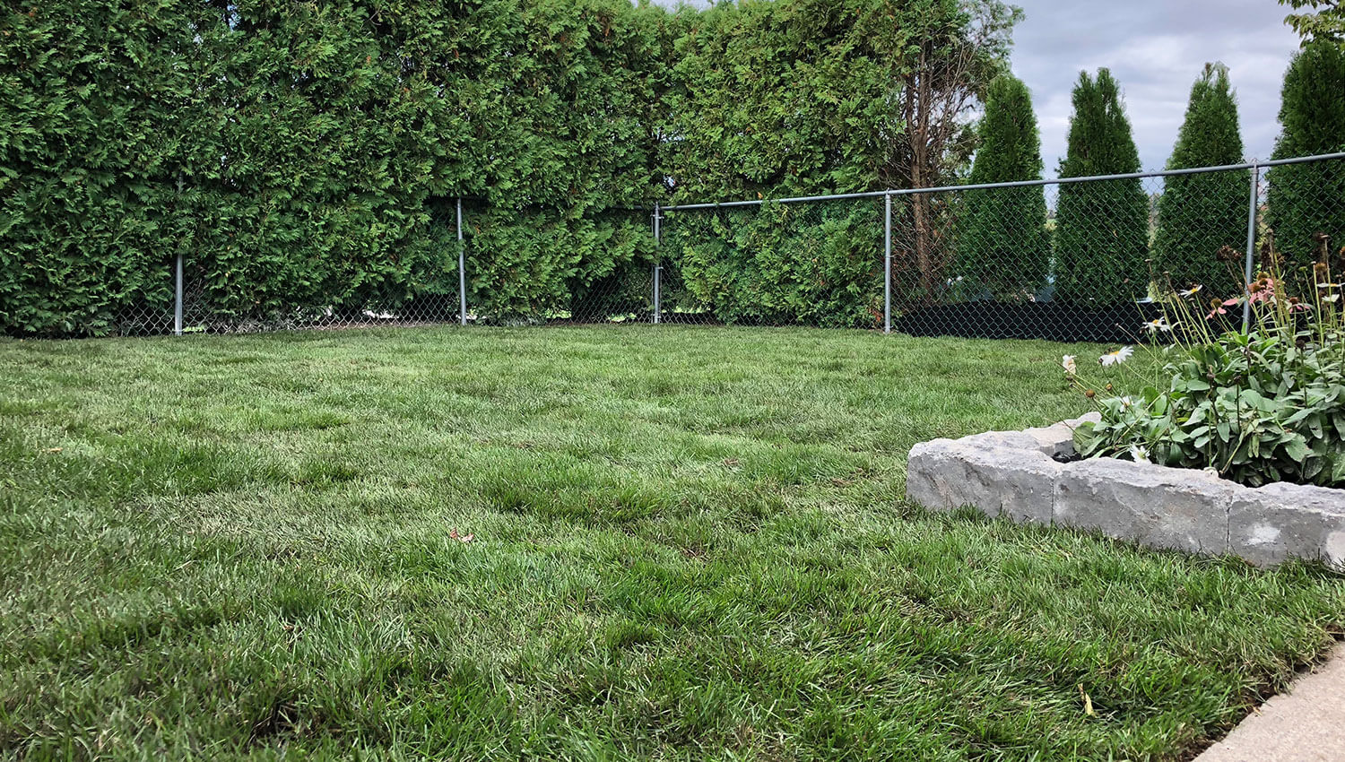 A green lawn installation at a Central New York Home