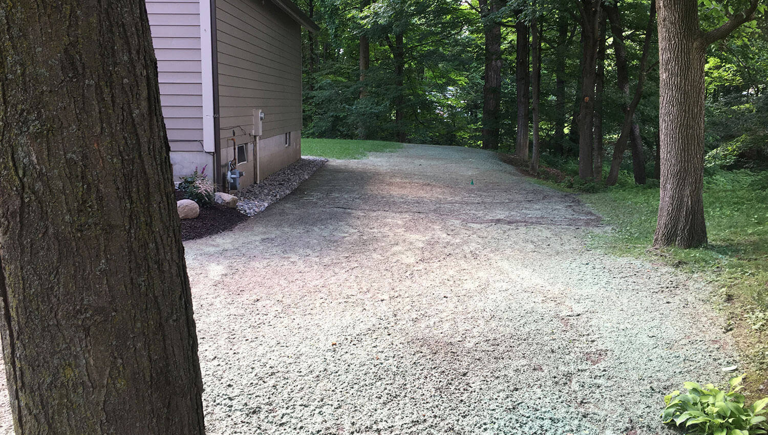 A beautiful lawn installation at a Central New York home