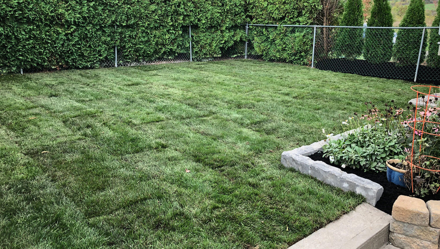 A beautiful lawn installation at a Central New York home